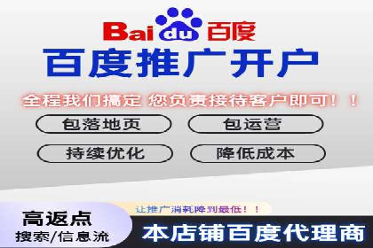 竞价推广实战：案例分析行业领军企业的成功之道